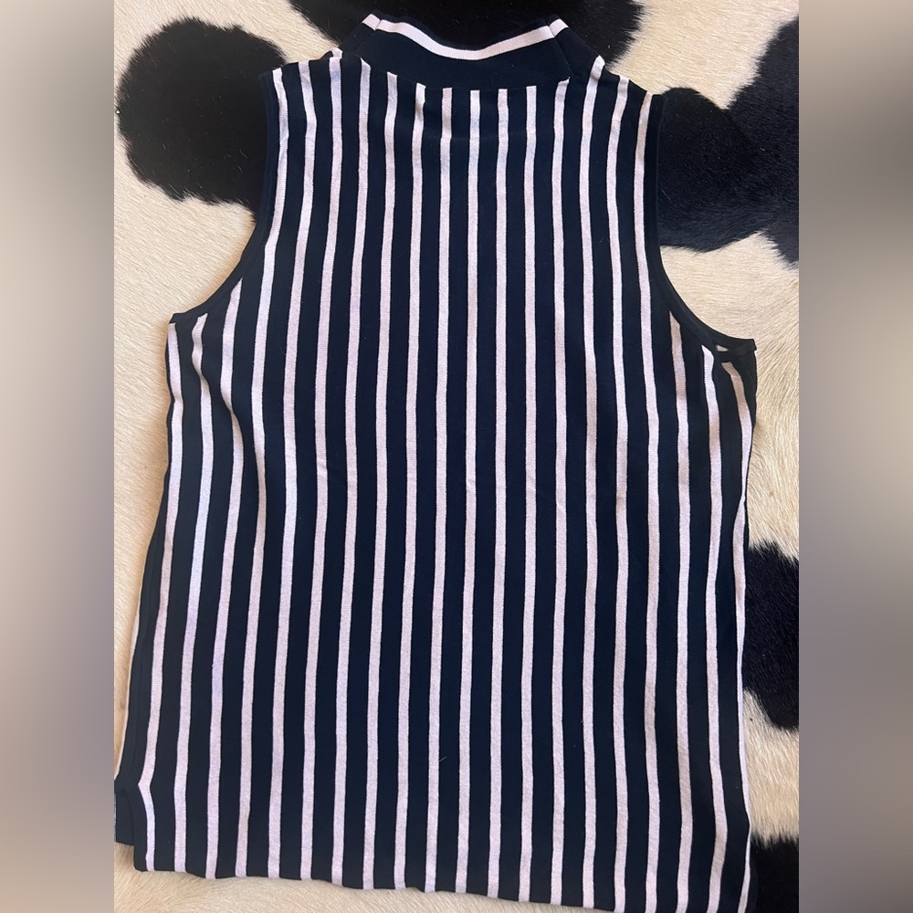 Rag & Bone Stripped Livvy Turtleneck Silk Blend Tank Top
